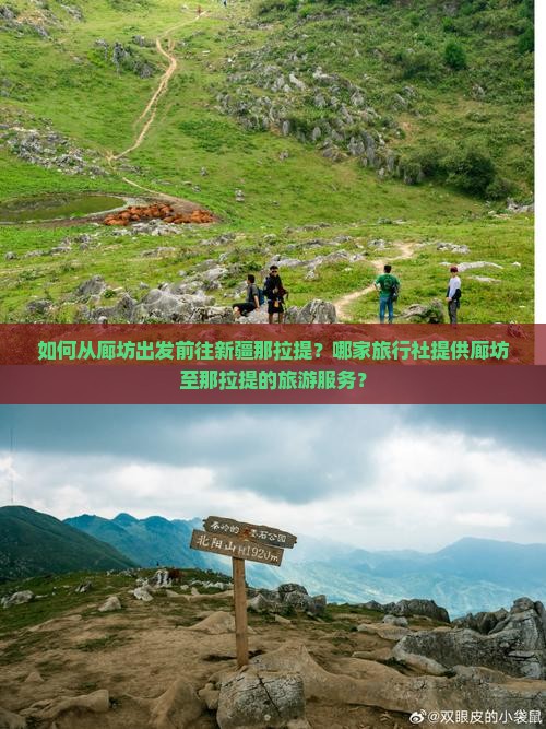 如何从廊坊出发前往新疆那拉提？哪家旅行社提供廊坊至那拉提的旅游服务？