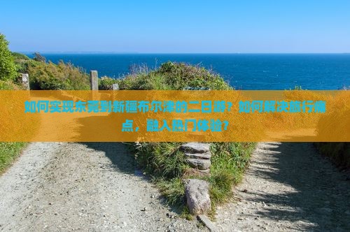 如何实现东莞到新疆布尔津的二日游？如何解决旅行痛点，融入热门体验？
