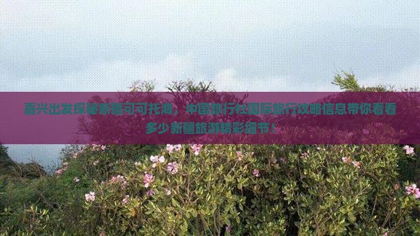 嘉兴出发探秘新疆可可托海，中国旅行社国际旅行攻略信息带你看看多少新疆旅游精彩细节！