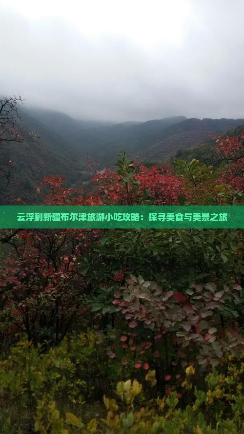 云浮到新疆布尔津旅游小吃攻略：探寻美食与美景之旅