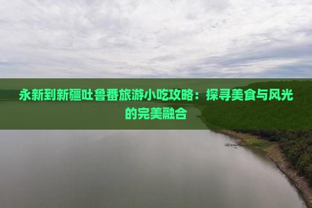 永新到新疆吐鲁番旅游小吃攻略：探寻美食与风光的完美融合