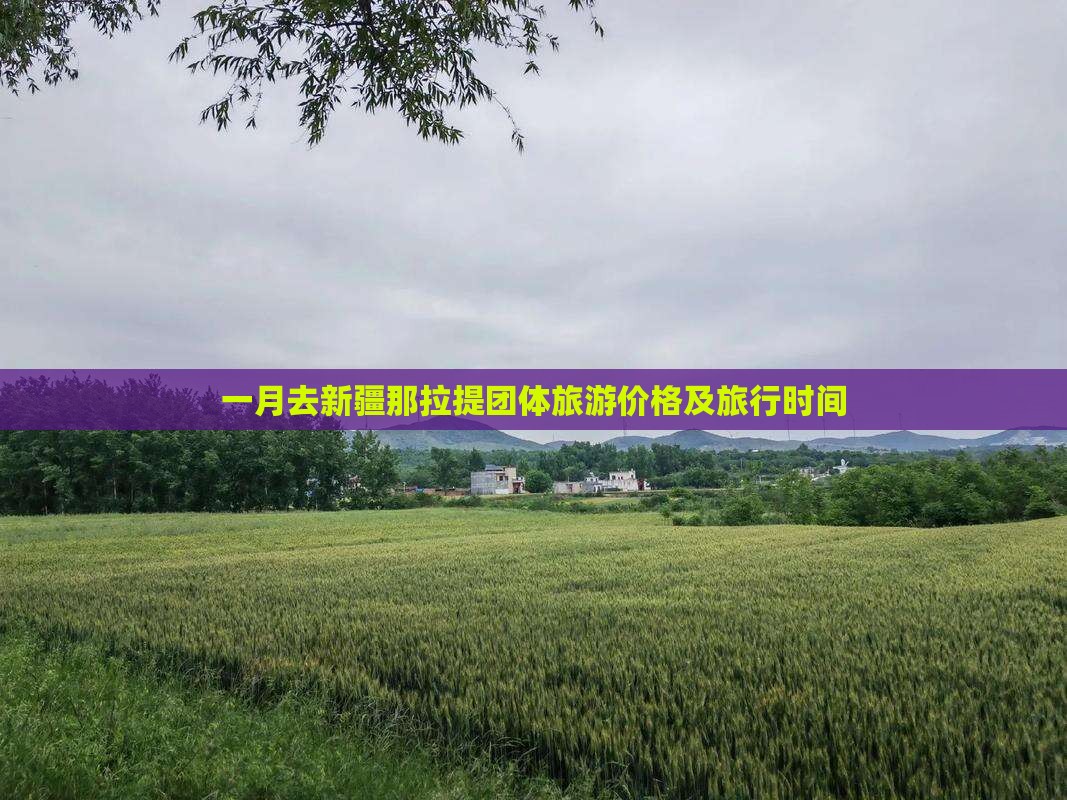 一月去新疆那拉提团体旅游价格及旅行时间