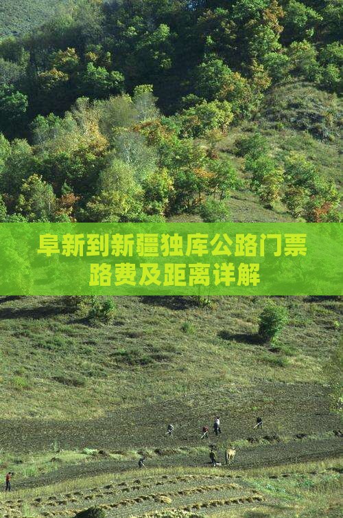 阜新到新疆独库公路门票+路费及距离详解