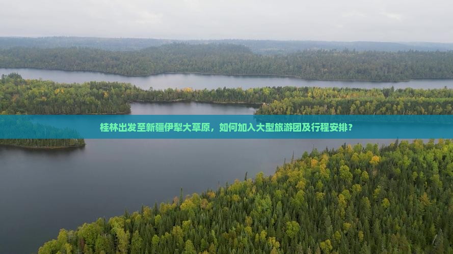 桂林出发至新疆伊犁大草原，如何加入大型旅游团及行程安排？