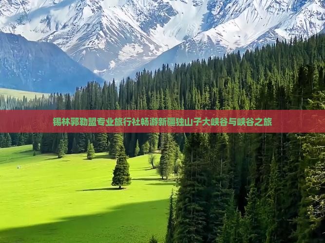锡林郭勒盟专业旅行社畅游新疆独山子大峡谷与峡谷之旅