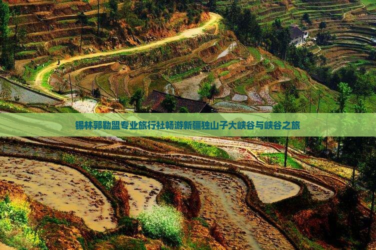 锡林郭勒盟专业旅行社畅游新疆独山子大峡谷与峡谷之旅