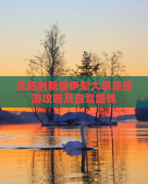 沈阳到新疆伊犁大草原旅游攻略及自驾路线