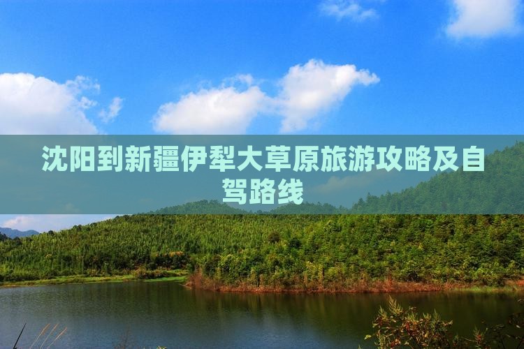 沈阳到新疆伊犁大草原旅游攻略及自驾路线