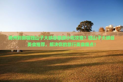 扬州到新疆独山子大峡谷旅游小吃攻略？独山子大峡谷美食推荐，解决你的旅行美食痛点！