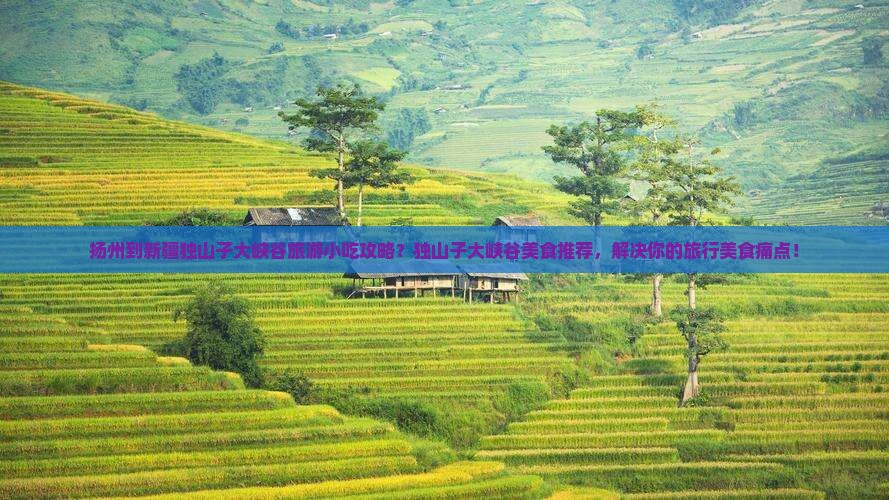 扬州到新疆独山子大峡谷旅游小吃攻略？独山子大峡谷美食推荐，解决你的旅行美食痛点！