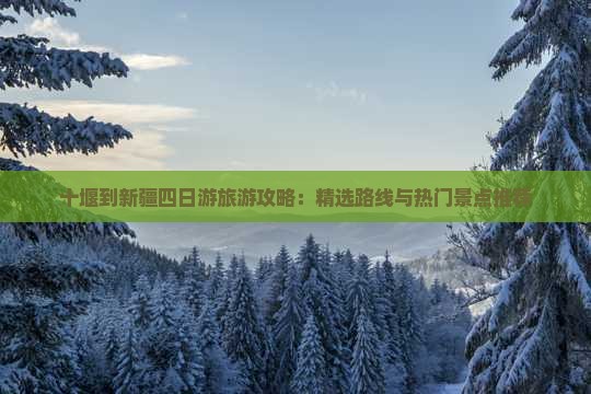 十堰到新疆四日游旅游攻略：精选路线与热门景点推荐