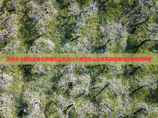 如何从十堰出发前往新疆天山天池？十堰至天山天池旅游攻略与行程规划详解