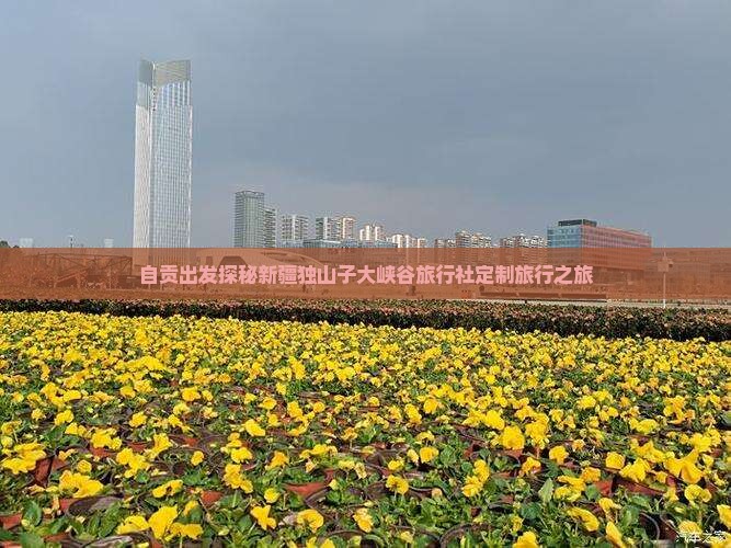 自贡出发探秘新疆独山子大峡谷旅行社定制旅行之旅