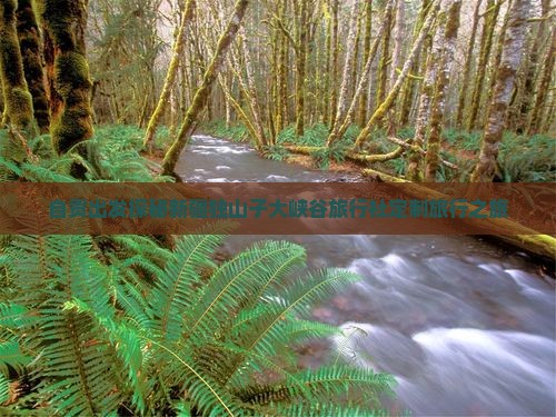 自贡出发探秘新疆独山子大峡谷旅行社定制旅行之旅