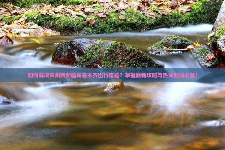 如何解决贺州到新疆乌鲁木齐出行难题？掌握最新攻略与热词新词必备！