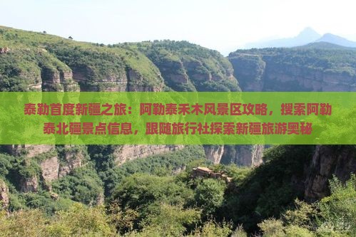 泰勒首度新疆之旅：阿勒泰禾木风景区攻略，搜索阿勒泰北疆景点信息，跟随旅行社探索新疆旅游奥秘