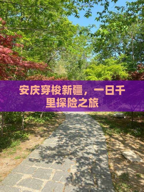 安庆穿梭新疆，一日千里探险之旅