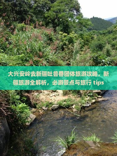 大兴安岭去新疆吐鲁番团体旅游攻略，新疆旅游全解析，必游景点与旅行 tips