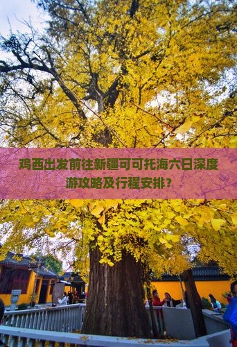 鸡西出发前往新疆可可托海六日深度游攻略及行程安排？