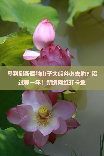 垦利到新疆独山子大峡谷必去地？错过等一年！新增网红打卡地