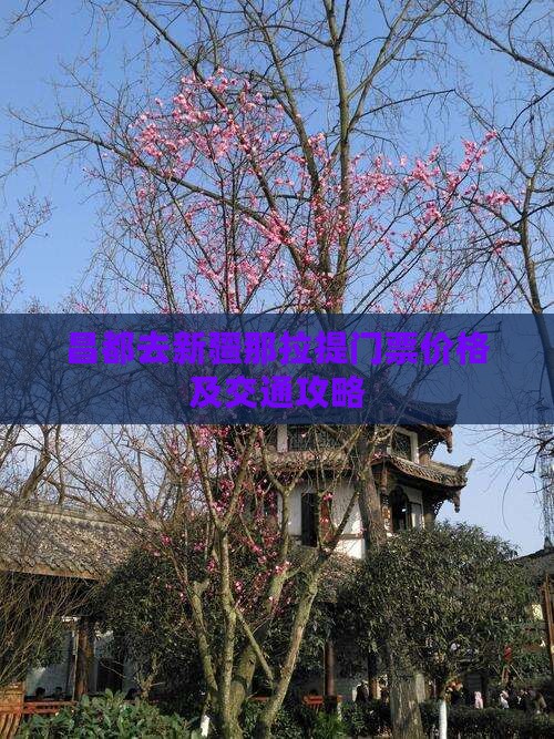 昌都去新疆那拉提门票价格及交通攻略