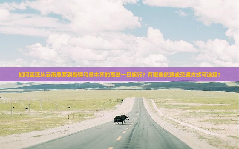 如何实现从云南思茅到新疆乌鲁木齐的高效一日旅行？有哪些航班或交通方式可选择？