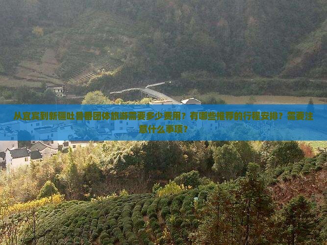 从宜宾到新疆吐鲁番团体旅游需要多少费用？有哪些推荐的行程安排？需要注意什么事项？