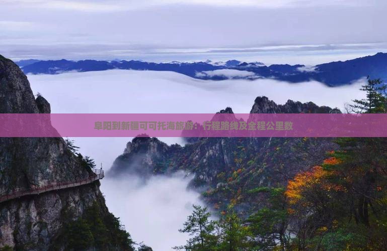 阜阳到新疆可可托海旅游：行程路线及全程公里数