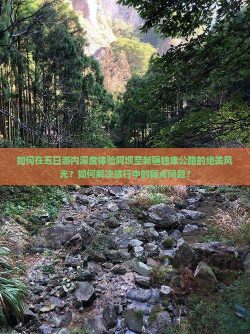 如何在五日游内深度体验阿坝至新疆独库公路的绝美风光？如何解决旅行中的痛点问题？