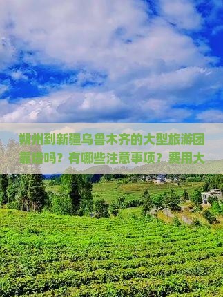 朔州到新疆乌鲁木齐的大型旅游团靠谱吗？有哪些注意事项？费用大概是多少？