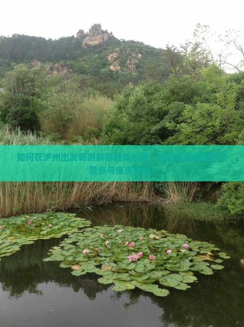如何在泸州出发畅游新疆独库公路，挖掘沿途哪些热门景点与痛点体验？