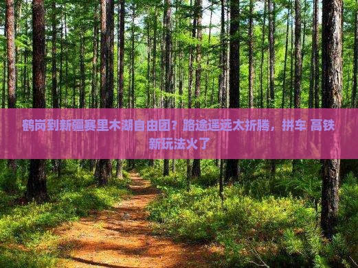 鹤岗到新疆赛里木湖自由团？路途遥远太折腾，拼车+高铁新玩法火了