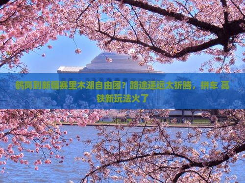 鹤岗到新疆赛里木湖自由团？路途遥远太折腾，拼车+高铁新玩法火了