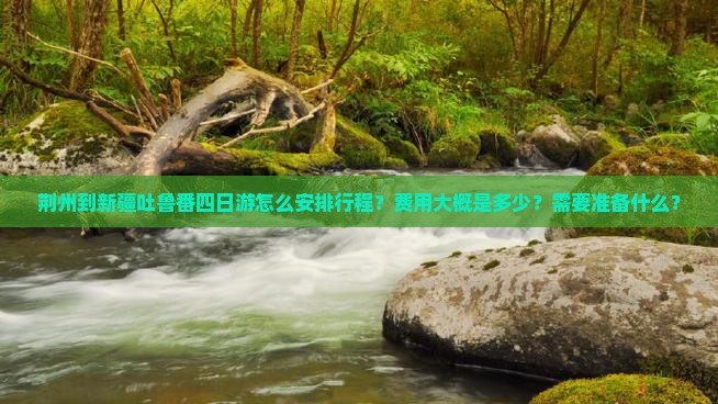 荆州到新疆吐鲁番四日游怎么安排行程？费用大概是多少？需要准备什么？