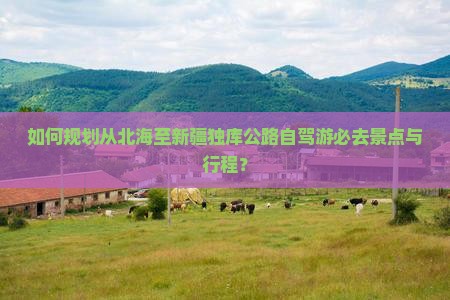 如何规划从北海至新疆独库公路自驾游必去景点与行程？