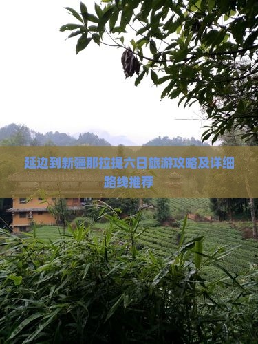 延边到新疆那拉提六日旅游攻略及详细路线推荐
