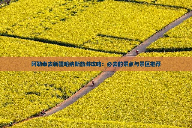 阿勒泰去新疆喀纳斯旅游攻略：必去的景点与景区推荐