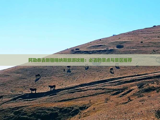 阿勒泰去新疆喀纳斯旅游攻略：必去的景点与景区推荐