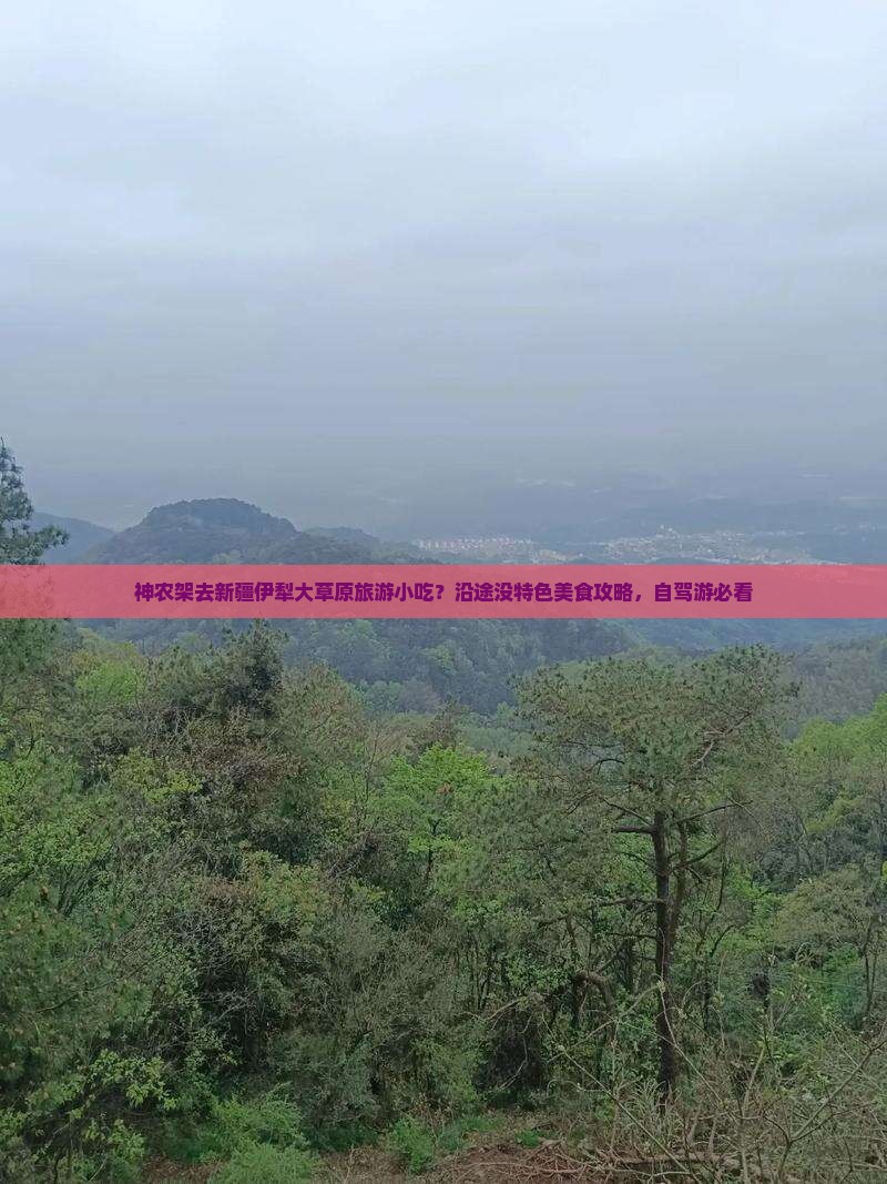 神农架去新疆伊犁大草原旅游小吃？沿途没特色美食攻略，自驾游必看