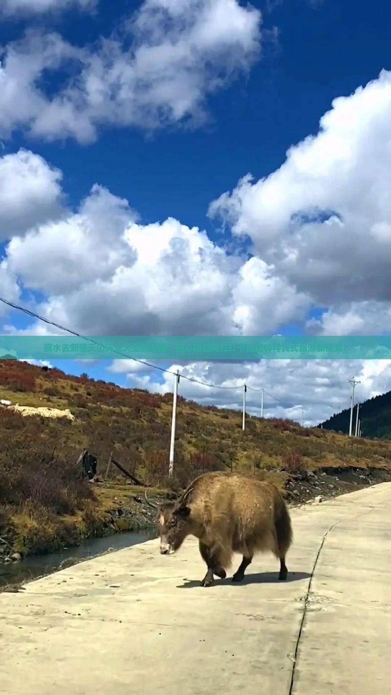 丽水去新疆天山天池大型旅游团？担心错过网红打卡地和特种兵式旅游新模式？