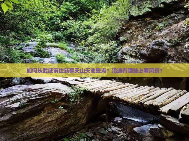 如何从武威前往新疆天山天池景点？沿途有哪些必看风景？
