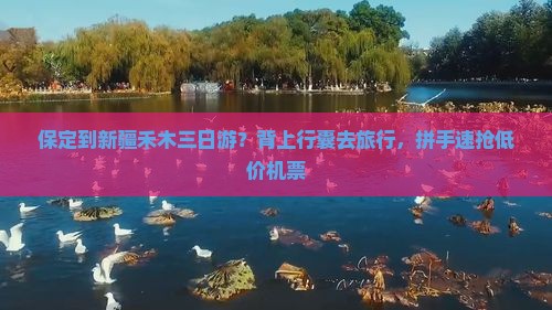 保定到新疆禾木三日游？背上行囊去旅行，拼手速抢低价机票