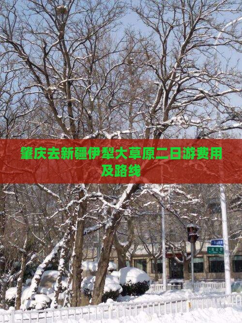 肇庆去新疆伊犁大草原二日游费用及路线