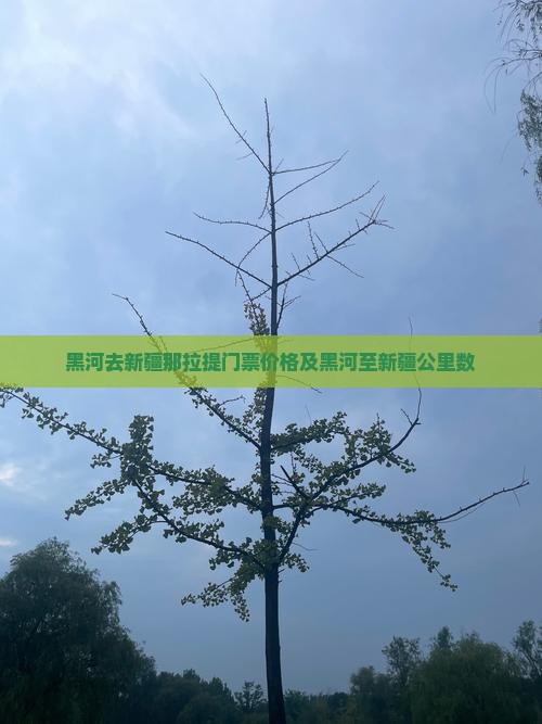 黑河去新疆那拉提门票价格及黑河至新疆公里数