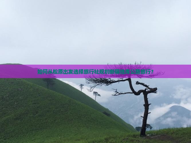 如何从松原出发选择旅行社规划新疆独库公路旅行？