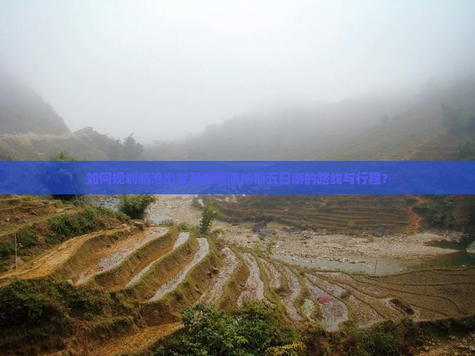 如何规划临沧出发至新疆喀纳斯五日游的路线与行程？
