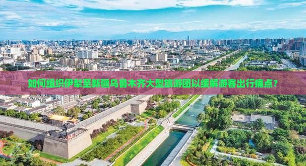 如何组织伊犁至新疆乌鲁木齐大型旅游团以缓解游客出行痛点？