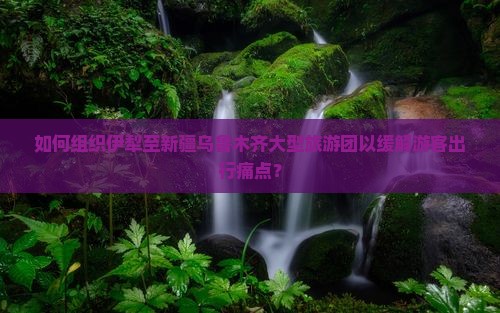 如何组织伊犁至新疆乌鲁木齐大型旅游团以缓解游客出行痛点？