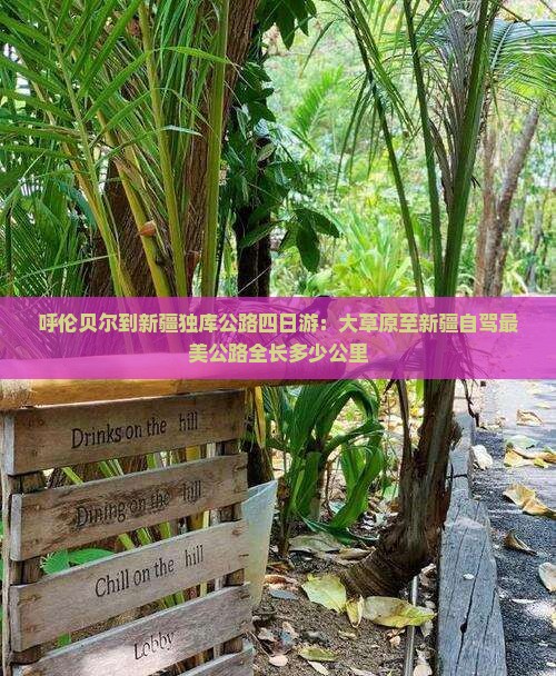 呼伦贝尔到新疆独库公路四日游：大草原至新疆自驾最美公路全长多少公里