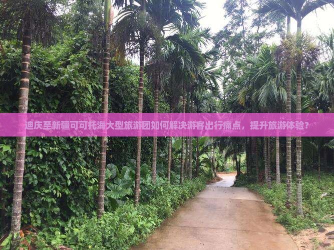 迪庆至新疆可可托海大型旅游团如何解决游客出行痛点，提升旅游体验？